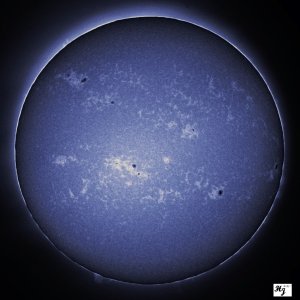 IMG_0125_2 0119_2 C MF AE.jpg