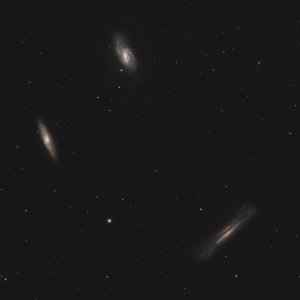 Leo Triplett mit PI und BXT