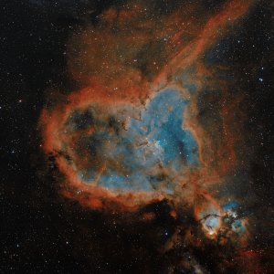 ic1805_Nikon_BXT Maske HDR colorklein.jpg