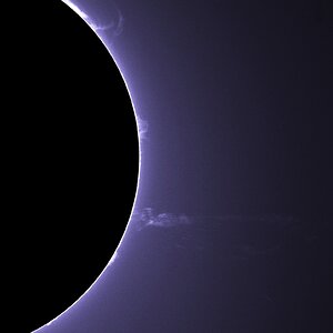 IMG_0260_2 A C MF AE.jpg