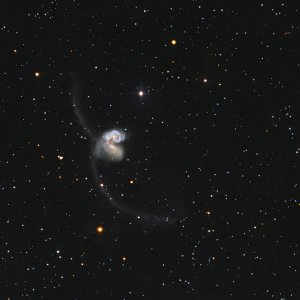 Antennengalaxien (NGC4038 u. 4039)