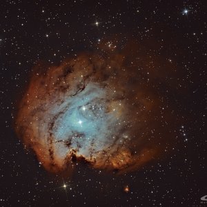 NGC-2175