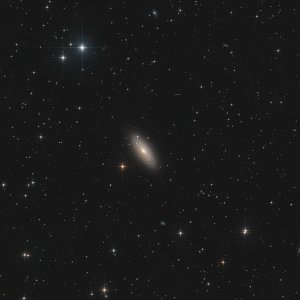Tigeraugen-Galaxie NGC 2841 (Feld)