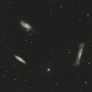 Leo Triplet