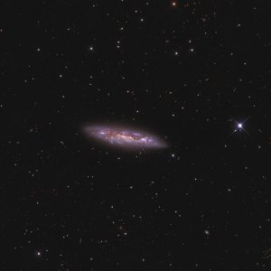 M108 (NGC 3556), Surfboard-Galaxie