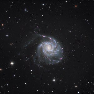 M101 L 10" Newton RGB 6" Newton