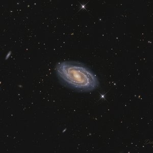 M109 (NGC 3992) mit dem NCT300