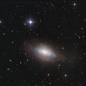 NGC3521 im Sternbild Löwe