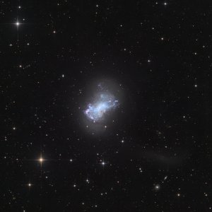 NGC_4449_LRGB_1098min_2024-03-11_V01_crop.jpg