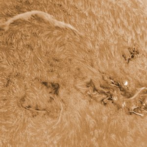 große Region der Sonnenflecken am 23-04-2024 um 12-11 MESZ webversion.jpg