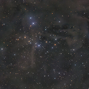 Dunkelnebel LBN 919/8 mit offenen Sternhaufen NGC 1342 im Perseus