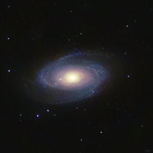 M81