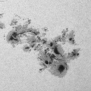 Sonne 09.05.2024 - AR 13664 mit 6 Zoll