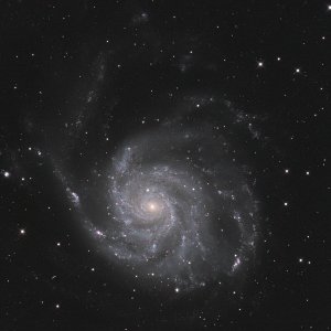 M 101, Pinwheel Galaxie