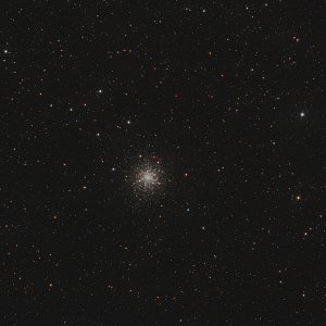 M12 Gummiball Epsilon 130d 2024 Dirk