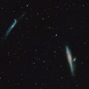 Walgalaxie NGC 4631 mit NGC 4656