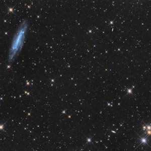 Feld um NGC 4236