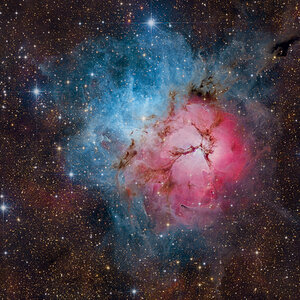 Trifid Nebel