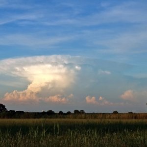 Cumulonimbus