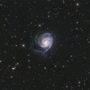 Pinwheel Galaxy M 101