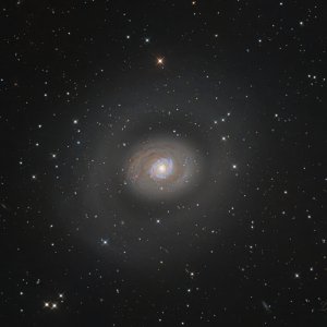 Messier 94 (NGC 4736), die Croc's Eye Galaxy