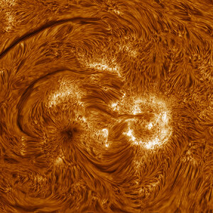 sn2c.jpg