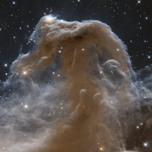 Pferdekopf vom Hubble Space Telescope