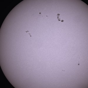 IMG_1576.jpeg