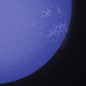 IMG_0678_2 C MF A PS .jpg