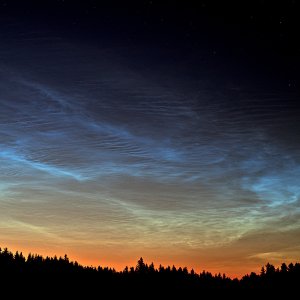 NLC jun 23