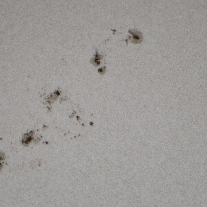 Sonnenfleck 20_07_24_9_07 UTC.jpg