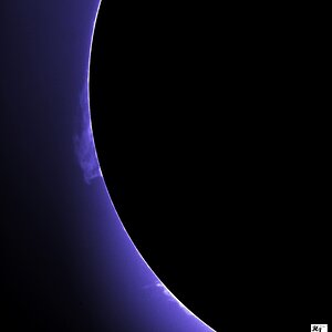 IMG_0829_2 C MF AE.jpg
