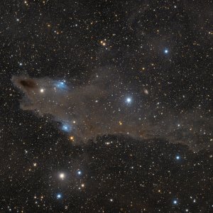 LDN 1235 (Shark Nebula)