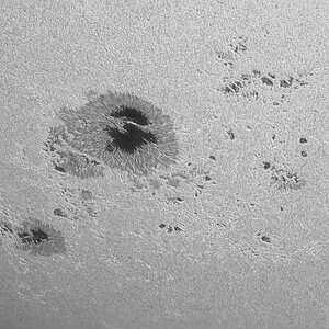 Mewlon 180C 2024-08-06  11_36.jpg