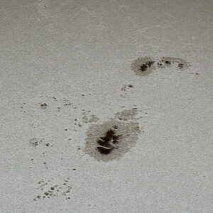 Sonne 7-08-24_3780.jpg
