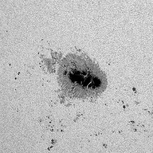 Mewlon 210   08.08.24 15_56_47.jpg