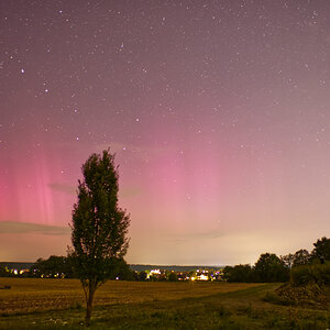 Nordlichter in Franken