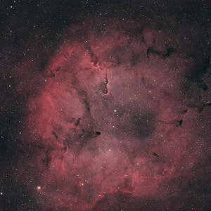 IC1396_elephant Kopie.jpg