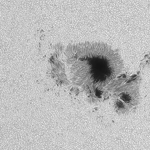 Sonnenfleckengruppe AR 13784 am 13.08.2024