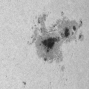 Sonnenfleckengruppe AR 13780 am 13.08.2024