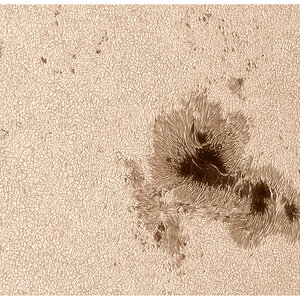 Sonnenfleckengruppe AR 13784 am 12.08.2024
