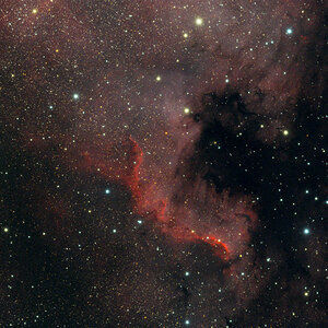 NGC7000
