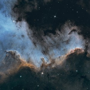 NGC7000 - The Cygnus Wall