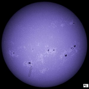 MVI_0984  C MF AE Flare 24082024 0927 UTC.jpg