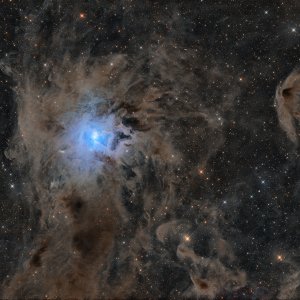 NGC 7023 - Der Iris Nebel