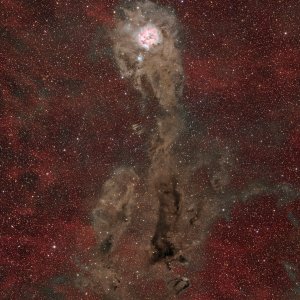 IC5146_CocoonNebula_20240902.jpg