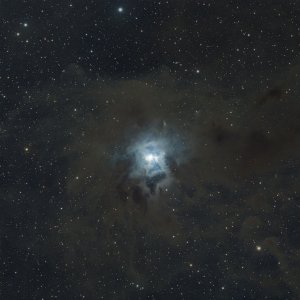 NGC 7023 Irisnebel Sternbild Kepheus