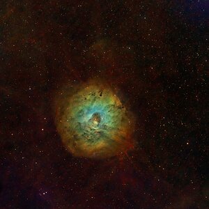 SH2-170 Kleiner Rosetten-Nebel in SHO