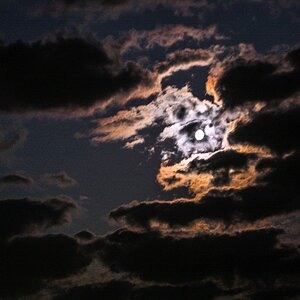 IMG_9879 MF AE.jpg