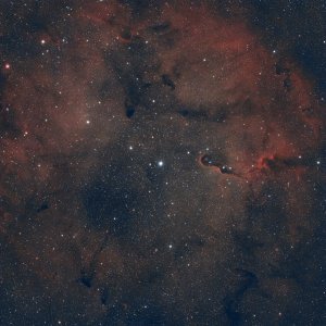 IC 1396 Elephant Trunk